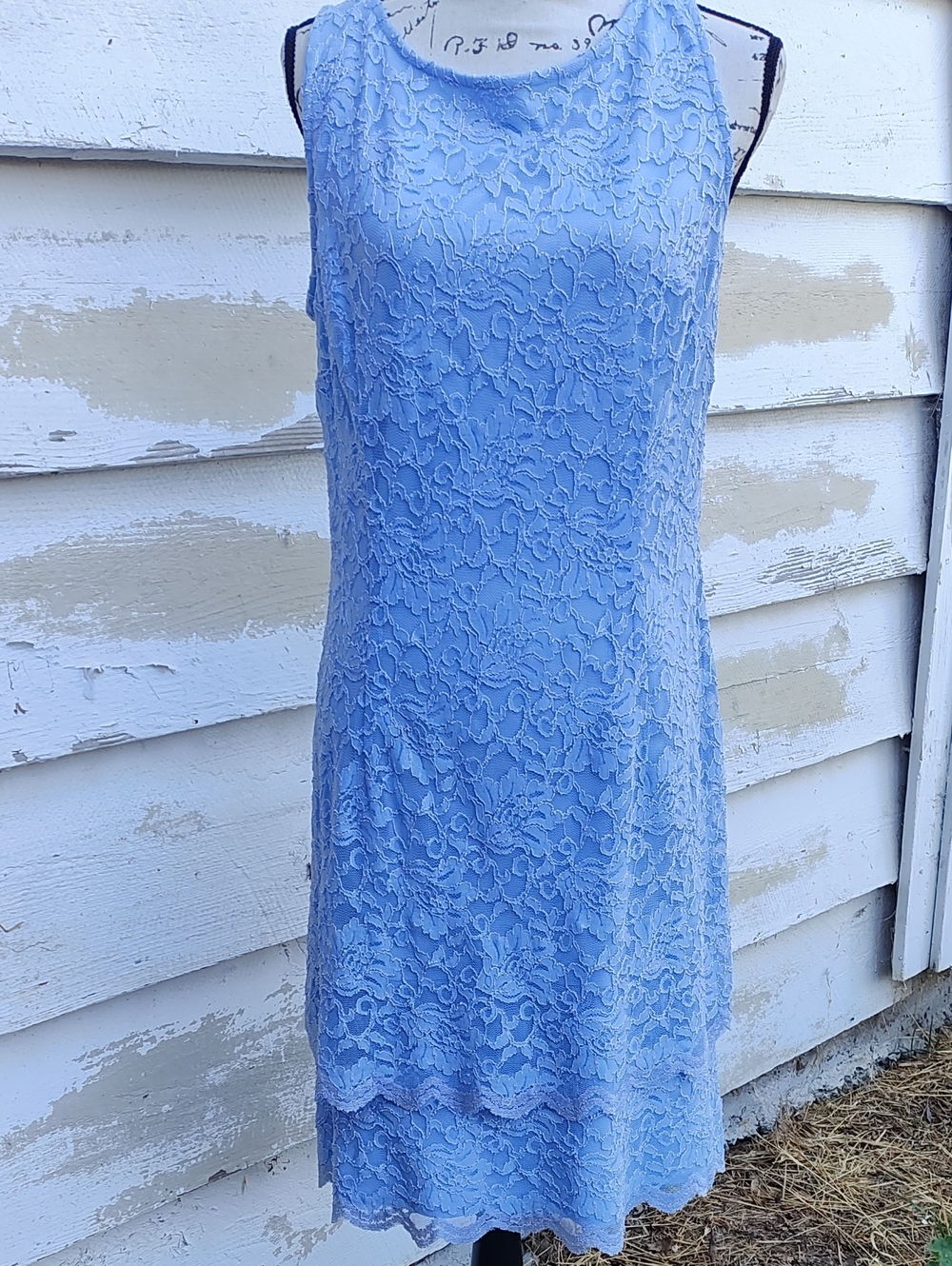 Alex Evenings Light Blue Lace Sleeveless Dress